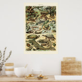 reptielen van Adolphe Millot Poster (Keuken)