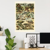 reptielen van Adolphe Millot Poster (Thuiskantoor)