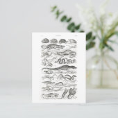 Reptielen van Oliver Goldsmith - kunst Briefkaart (Staand voorkant)