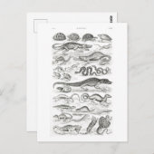Reptielen van Oliver Goldsmith - kunst Briefkaart (Voorkant / Achterkant)