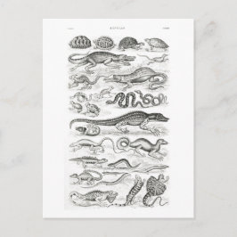Reptielen van Oliver Goldsmith -  kunst Briefkaart