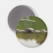 reptielenwaren magneet (Voorkant / Achterkant)