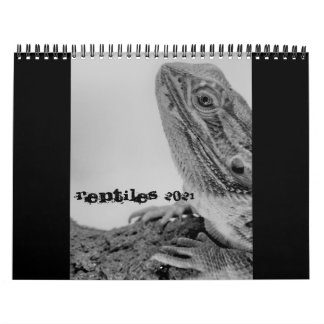 Reptielkalender 2021 kalender