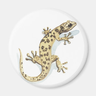 Reptielmagneet Magneet