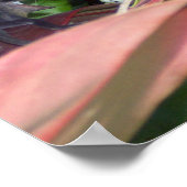 Reptieloorlogvoering Poster (Hoek)