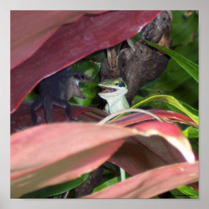 Reptieloorlogvoering Poster