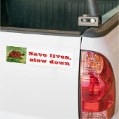 Reptile Animal Art Tortoise Bumpersticker (Op Truck)