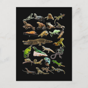 Reptile Collage Lizard Gecko Bearded Dragon Briefkaart