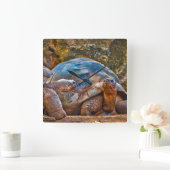 Reptile Galapagos Tortoises Wall klok (Huis)