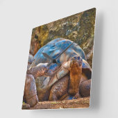 Reptile Galapagos Tortoises Wall klok (Hoek)