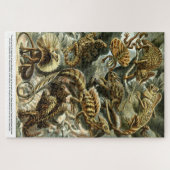 Reptile Lizards by Ernst Haeckel Legpuzzel (Horizontaal)