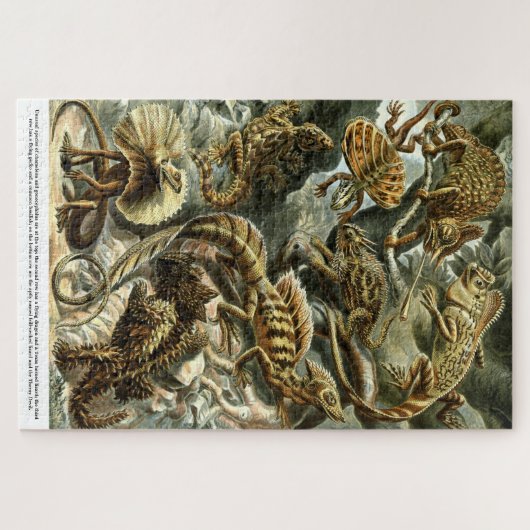 Reptile Lizards by Ernst Haeckel Legpuzzel (Horizontaal)