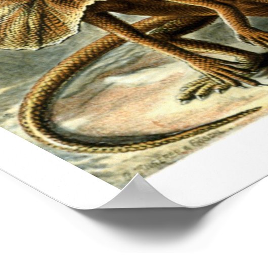 Reptile Lizards by Ernst Haeckel Poster (Hoek)