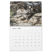 Reptileert Wall Calendar door J.W. Fatherree. Kalender (Jan 2026)