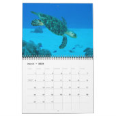 Reptileert Wall Calendar door J.W. Fatherree. Kalender (Mar 2026)