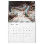 Reptileert Wall Calendar door J.W. Fatherree. Kalender (Feb 2026)