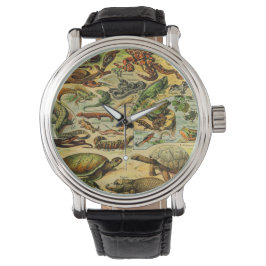 REPTILES HORLOGE