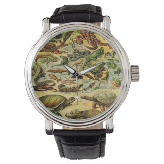 REPTILES HORLOGE
