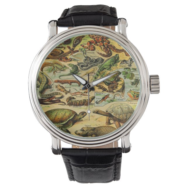 REPTILES HORLOGE (Voorkant)