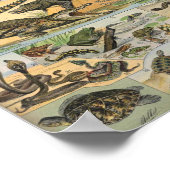 Reptiles Illustration By Adolphe Millot Poster (Hoek)