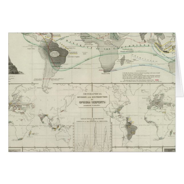 Reptilia, Ophidia (Voorkant Horizontaal)