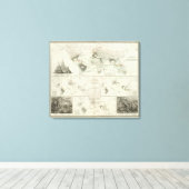 Reptilia, Ophidia Canvas Afdruk (Insitu (Houten vloer))