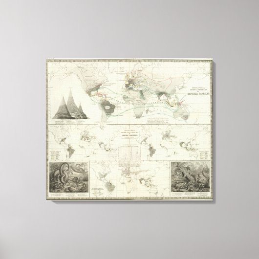 Reptilia, Ophidia Canvas Afdruk (Voorkant)