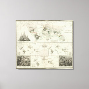 Reptilia, Ophidia Canvas Afdruk