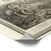 Reptilia, Ophidia Poster (Hoek)