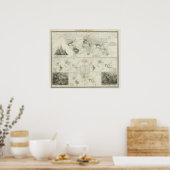Reptilia, Ophidia Poster (Keuken)