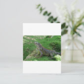 Reptilian look.JPG Briefkaart (Staand voorkant)