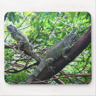 Reptilian Repose Muismat