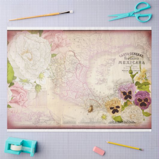 Republica Mexicana Map-deduplicatiedocument Tissuepapier (Craft)
