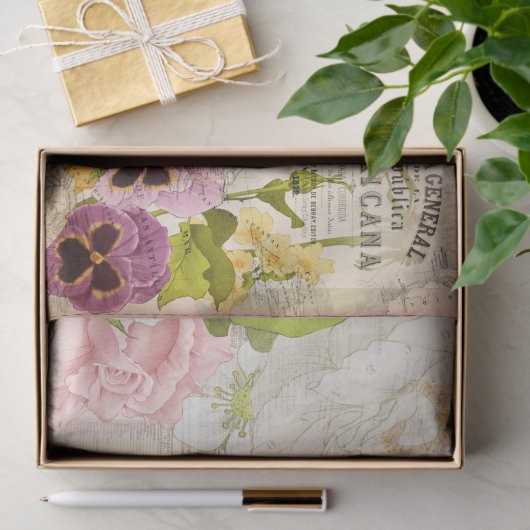 Republica Mexicana Map-deduplicatiedocument Tissuepapier (Geschenk)