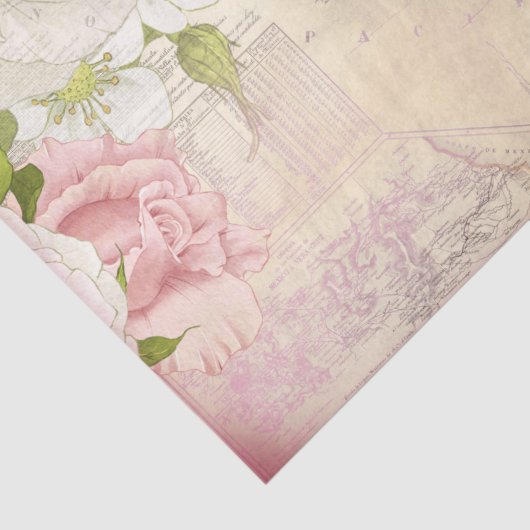 Republica Mexicana Map-deduplicatiedocument Tissuepapier (Detail)