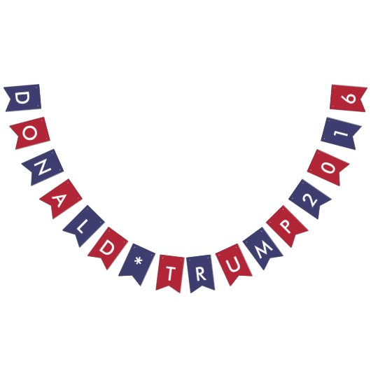 Republican Donald Trump 2016 American Flag Colors Vlaggetjes (Alle)