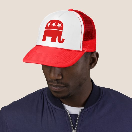 Republican Elephant Pet (In situ)
