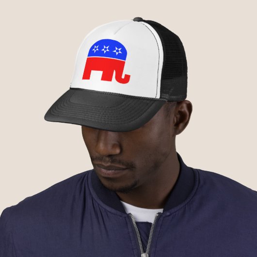 Republican Elephant Pet (In situ)