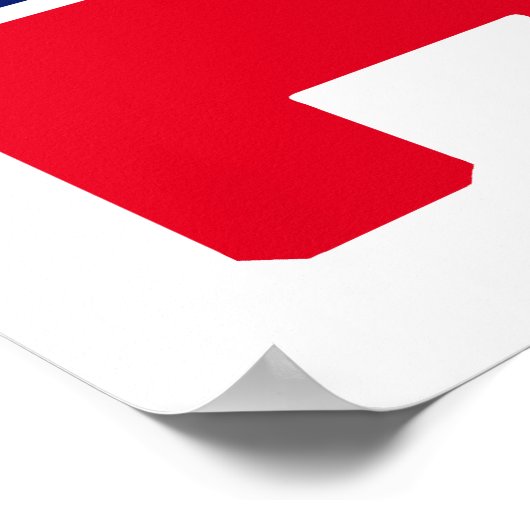 Republican Elephant Poster (Hoek)