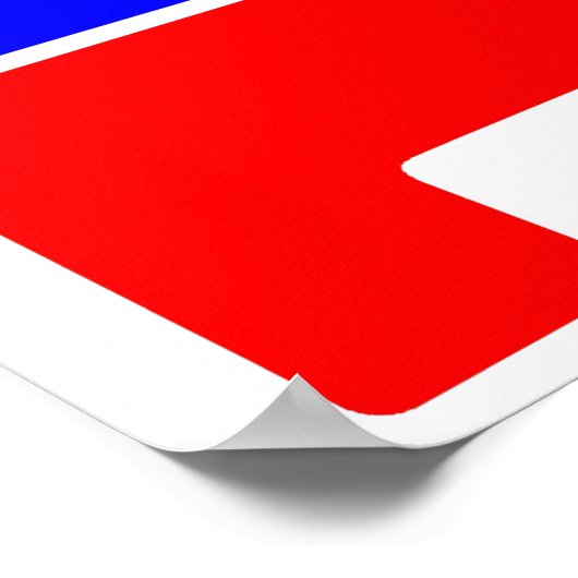 Republican Party Logo Dunce Poster (Hoek)