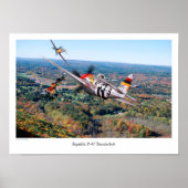 Republiek P-47 Thunderbolt Poster (Voorkant)