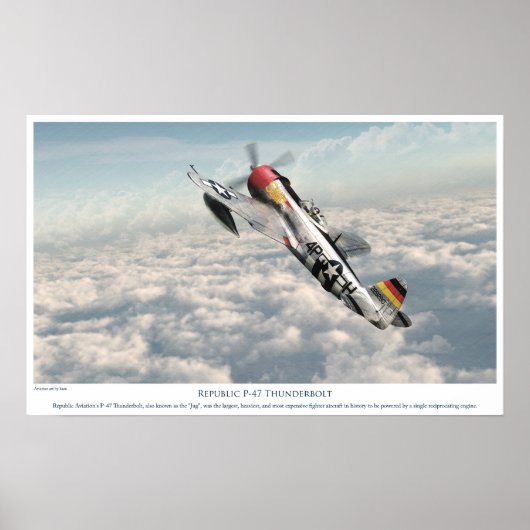 Republiek P-47 Thunderbolt Poster (Voorkant)