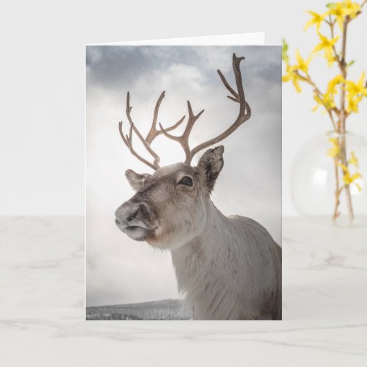 Rerendierfoto Kaart (Gele Bloem)