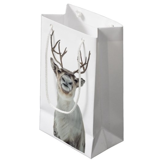 Rerendierfoto Klein Cadeauzakje (Voorkant Gekanteld)