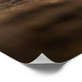 Rerendierfoto Poster (Hoek)