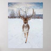 Rerendierfoto Poster (Voorkant)