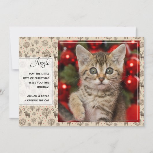 Rerendierpatroon & Script Typografie Aangepaste kl Feestdagenkaart (Voorkant)