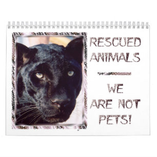 Rescuated Animals Calendar Kalender