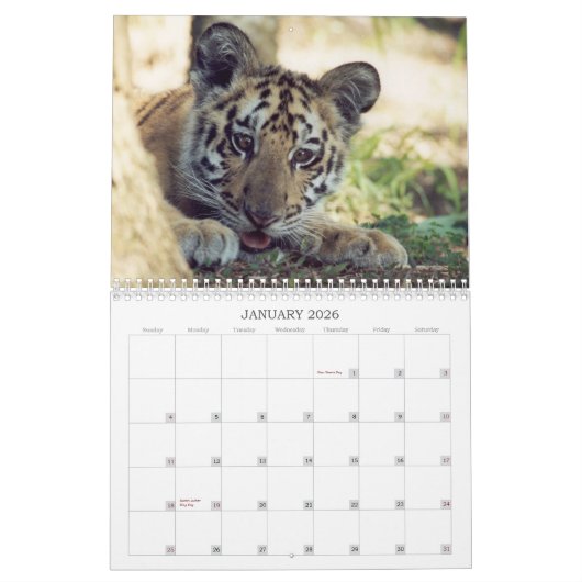 Rescuated Animals Calendar Kalender (Jan 2026)