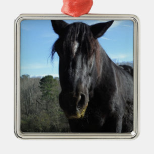 Rescuated Black Draft Horse Metalen Ornament